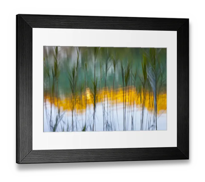 Framed Print : Abstract of reeds in front of lake with reflections, Plitvice Lakes National Park Framed Print : Abstract of reeds in front of lake with reflections, Plitvice Lakes National Park