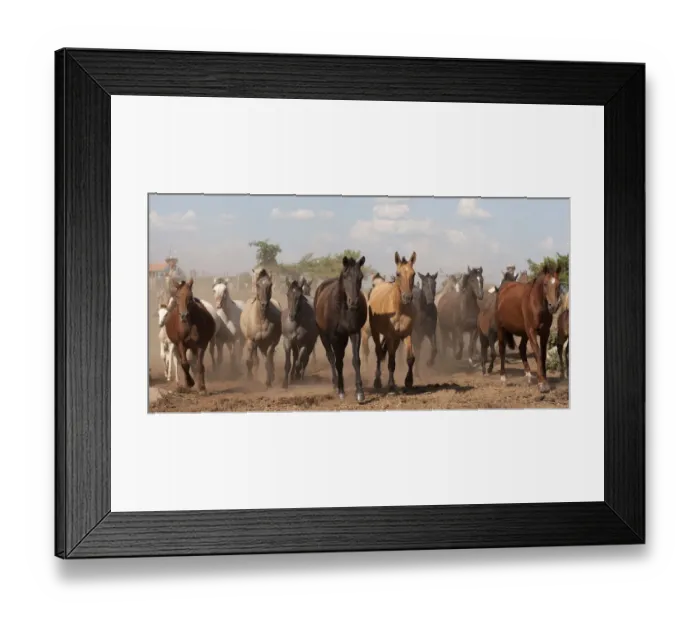 Framed Print : Cowboys rounding up a band of Criollo pure pedigree mares and foals, Estancia Ita Maria Framed Print : Cowboys rounding up a band of Criollo pure pedigree mares and foals, Estancia Ita Maria