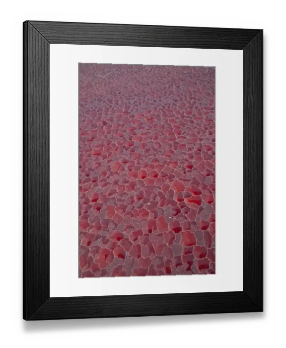 Framed Print : Aerial view of salt pans coloured red by cyanobacteria, Lake Natron, Rift Valley Framed Print : Aerial view of salt pans coloured red by cyanobacteria, Lake Natron, Rift Valley