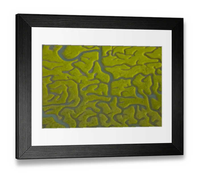 Framed Print : Aerial view saltmarshes of Bahia de Cadiz Natural Park, Huelva, Andalucia, Spain Framed Print : Aerial view saltmarshes of Bahia de Cadiz Natural Park, Huelva, Andalucia, Spain