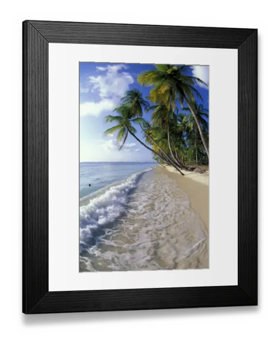 Framed Print : Palm trees line the beach at Pigeon Point, Tobago Framed Print : Palm trees line the beach at Pigeon Point, Tobago