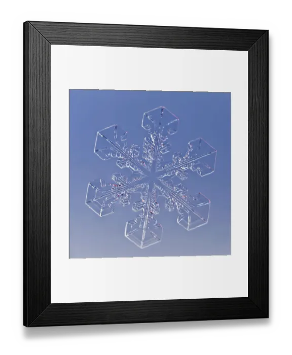 Framed Print : Snowflake magnified under microscope, Lilehammer, Norway Framed Print : Snowflake magnified under microscope, Lilehammer, Norway