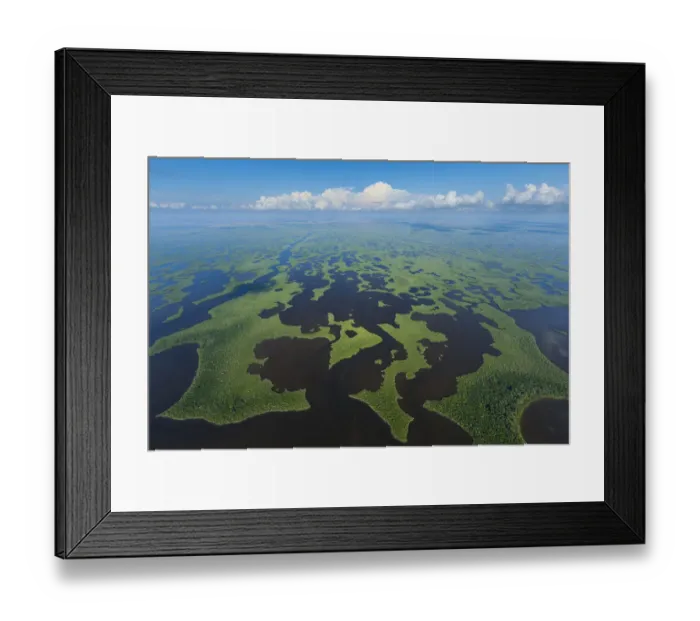Framed Print : Aerial view over subtropical mangrove wetlands of the Everglades National Park. Florida Framed Print : Aerial view over subtropical mangrove wetlands of the Everglades National Park. Florida