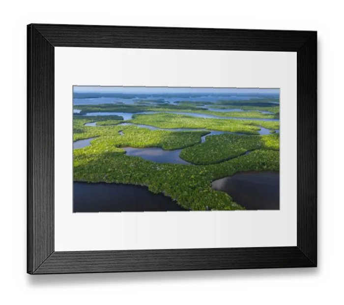Framed Print : Aerial view over subtropical mangrove wetlands of the Everglades National Park. Florida Framed Print : Aerial view over subtropical mangrove wetlands of the Everglades National Park. Florida