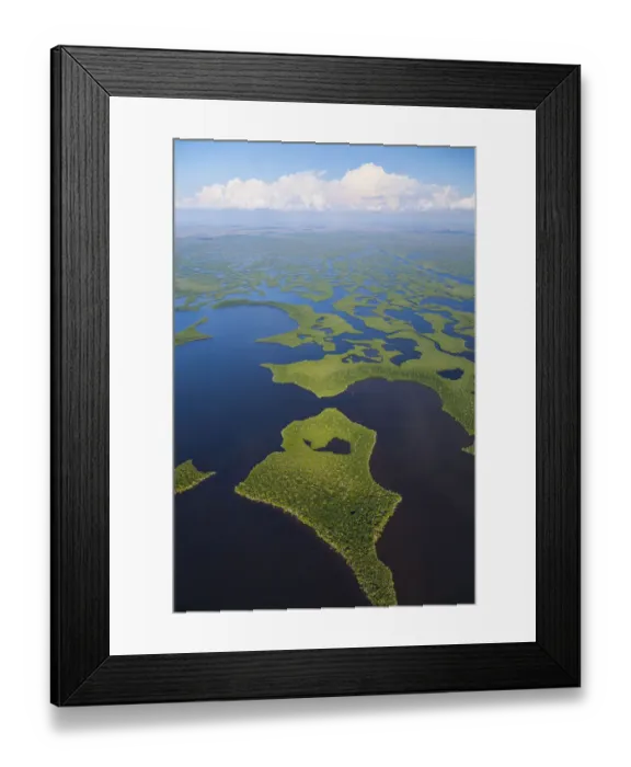 Framed Print : Aerial view over subtropical mangrove wetlands of the Everglades National Park. Florida Framed Print : Aerial view over subtropical mangrove wetlands of the Everglades National Park. Florida