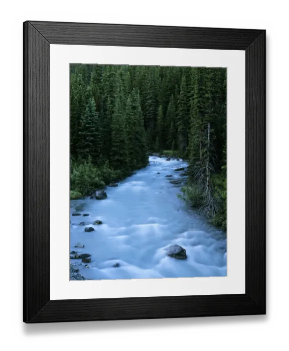 Framed Print : Nigel Creek with conifer forest at dusk, Banff National Park, Rocky Mountains, Alberta Framed Print : Nigel Creek with conifer forest at dusk, Banff National Park, Rocky Mountains, Alberta