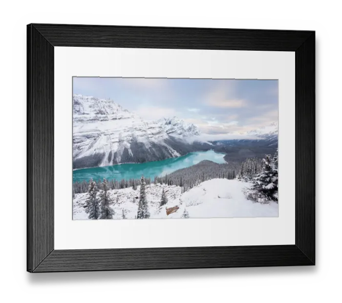 Framed Print : Peyto Lake, coloured by glacial silt, Banff-Jasper National Parks, Alberta, Canada, 2007 Framed Print : Peyto Lake, coloured by glacial silt, Banff-Jasper National Parks, Alberta, Canada, 2007