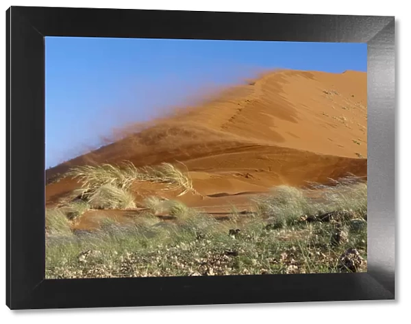 Sossusvlei dunes, wind in rainy season, Namib-Naukluft National Park, Namib desert