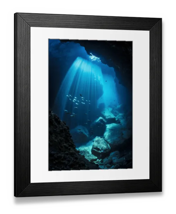 Framed Print : Schools of Pacific creolefish (Cephalopholis colonus) and Panamic sergeant major