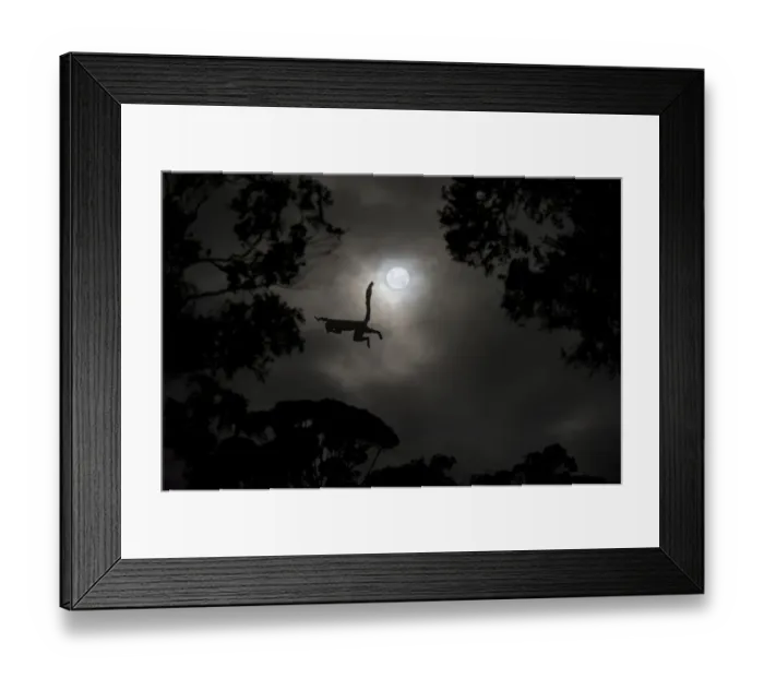 Framed Print : Silhouette of Red-fronted brown lemur (Eulemur rufus) leaping across gap in trees by moonlight Framed Print : Silhouette of Red-fronted brown lemur (Eulemur rufus) leaping across gap in trees by moonlight