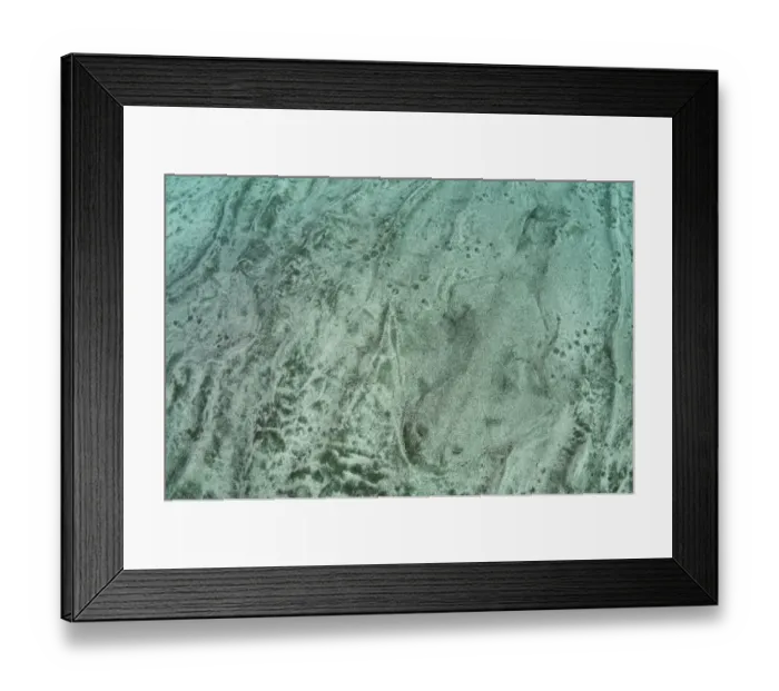 Framed Print : Outline of an Angelshark (Squatina squatina) buried in the sand. Gran Canaria, Canary Islands Framed Print : Outline of an Angelshark (Squatina squatina) buried in the sand. Gran Canaria, Canary Islands