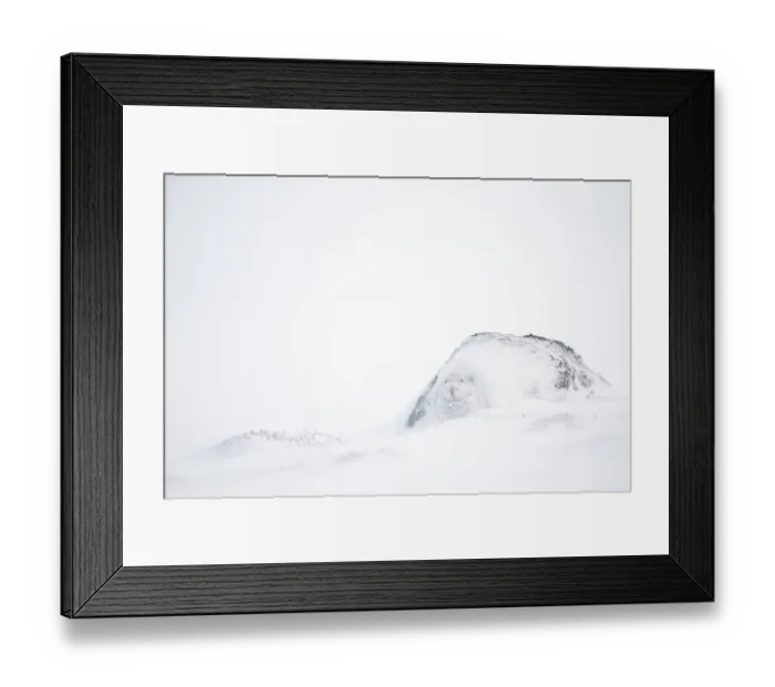 Framed Print : Mountain hare (Lepus timidus) in white winter coat camouflaged in snow, Scotland, UK Framed Print : Mountain hare (Lepus timidus) in white winter coat camouflaged in snow, Scotland, UK