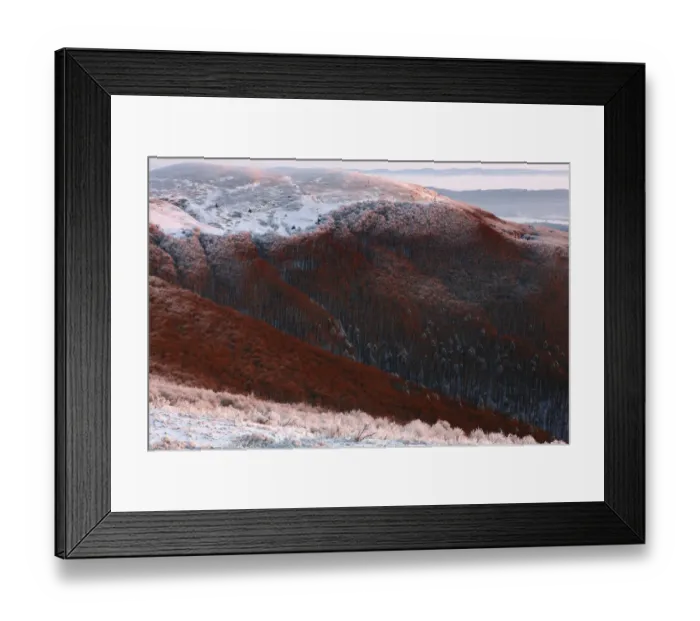 Framed Print : Carpathian beech forest at Wolowy Garb Peak. Bieszczady, Carpathian Mountains, Poland Framed Print : Carpathian beech forest at Wolowy Garb Peak. Bieszczady, Carpathian Mountains, Poland