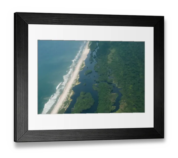 Framed Print : Rainforest on the coast of the Atlantic Ocean, Gamba, Gabon Framed Print : Rainforest on the coast of the Atlantic Ocean, Gamba, Gabon