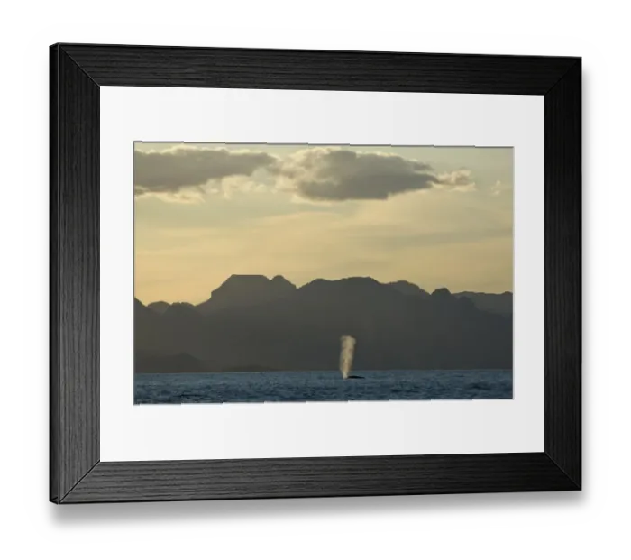 Framed Print : 1306741 Framed Print : 1306741