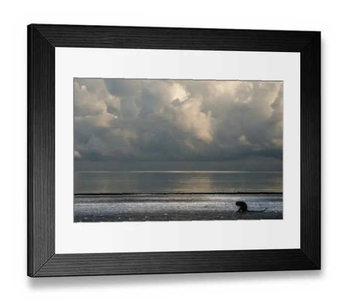 Framed Print : Long-tailed / Crab-eating macaque (Macaca fascicularis) foraging on coastline at low tide Framed Print : Long-tailed / Crab-eating macaque (Macaca fascicularis) foraging on coastline at low tide