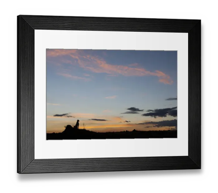 Framed Print : Cheetah (Acinonyx jubatus) sitting on a termite mound at sunset, Masai-Mara Game Reserve, Kenya Framed Print : Cheetah (Acinonyx jubatus) sitting on a termite mound at sunset, Masai-Mara Game Reserve, Kenya