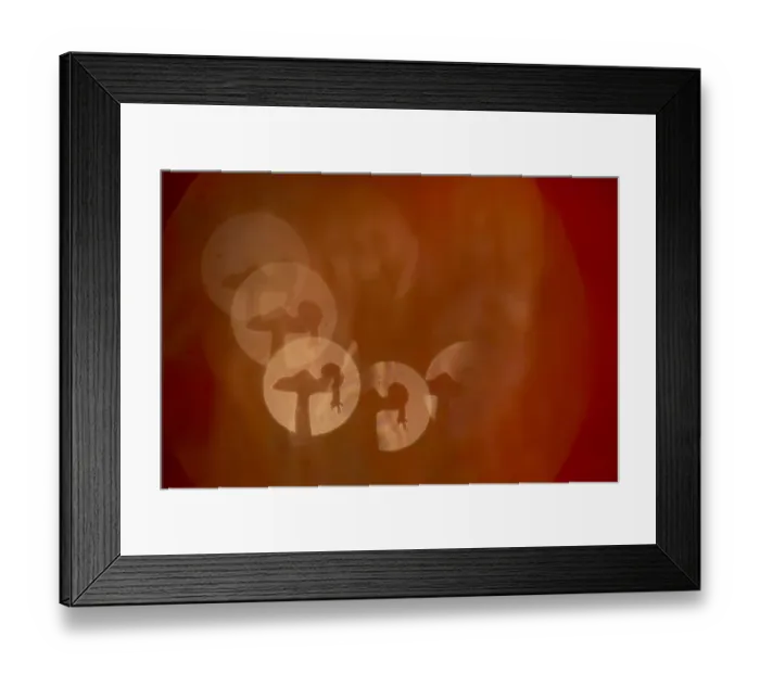 Framed Print : Brown-lipped snail (Cepaea nemoralis) on fungus, reproduced in a bokeh affect, Sheffield Framed Print : Brown-lipped snail (Cepaea nemoralis) on fungus, reproduced in a bokeh affect, Sheffield