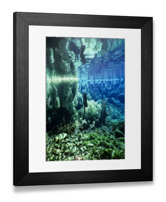 Framed Print : Waikoropupu Springs, Golden Bay, South Island, New Zealand Framed Print : Waikoropupu Springs, Golden Bay, South Island, New Zealand