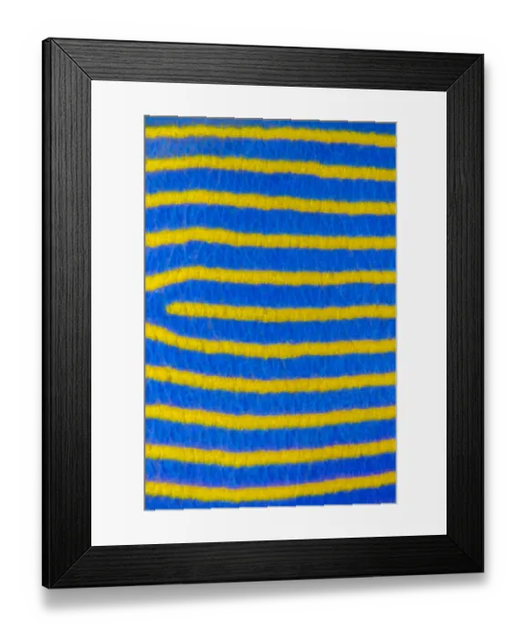 Framed Print : Close up of pattern of adult Emperor angelfish (Pomacanthus imperator) Tulamben, Bali, Indonesia Framed Print : Close up of pattern of adult Emperor angelfish (Pomacanthus imperator) Tulamben, Bali, Indonesia