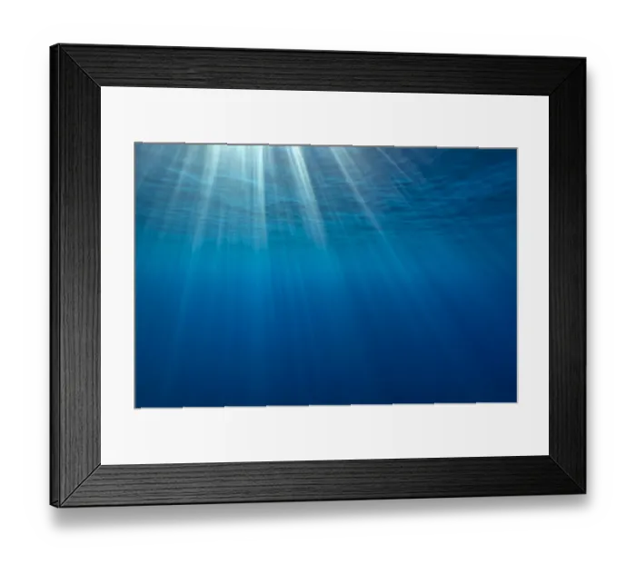 Framed Print : Sunbeams below the surface of the sea, Guadalupe Island, Baja California, Mexico Framed Print : Sunbeams below the surface of the sea, Guadalupe Island, Baja California, Mexico