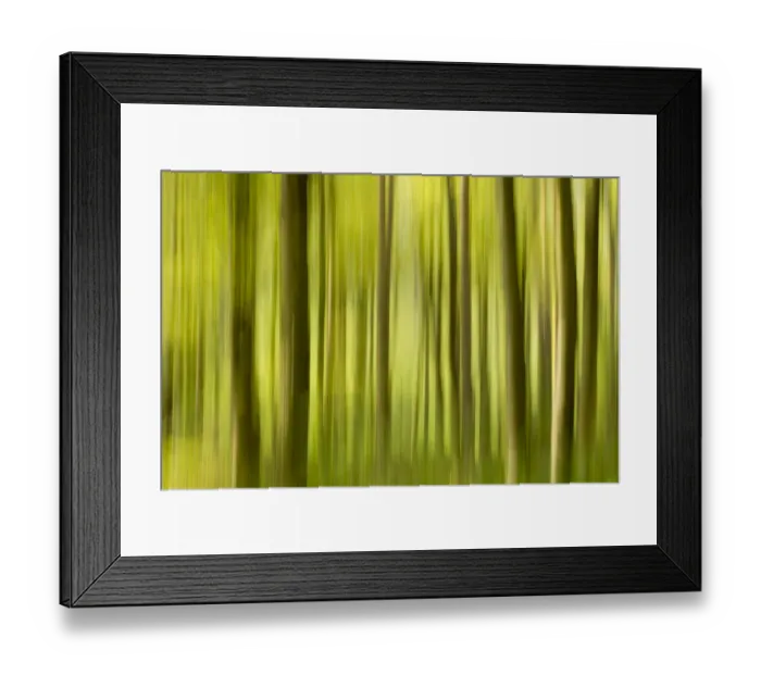Framed Print : Abstract of forest, The National Forest, UK, Spring, 2011 Framed Print : Abstract of forest, The National Forest, UK, Spring, 2011