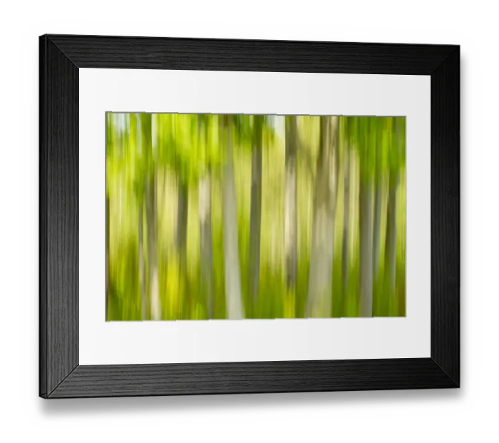 Framed Print : Tree abstract, The National Forest, UK, Spring, 2011 Framed Print : Tree abstract, The National Forest, UK, Spring, 2011