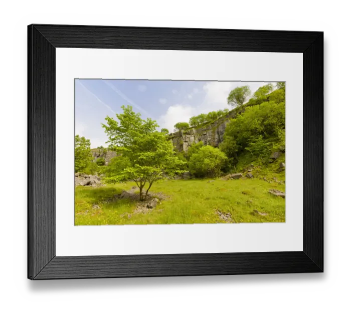 Framed Print : Disused limestone quarry supporting a wide range of vegetation. Millers Dale Framed Print : Disused limestone quarry supporting a wide range of vegetation. Millers Dale