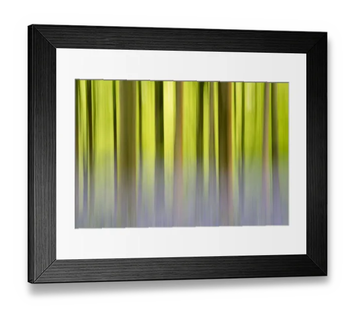 Framed Print : RF- Abstract of Bluebells (Hyacinthoides non-scripta) among beech trees (Fagus sylvatica)