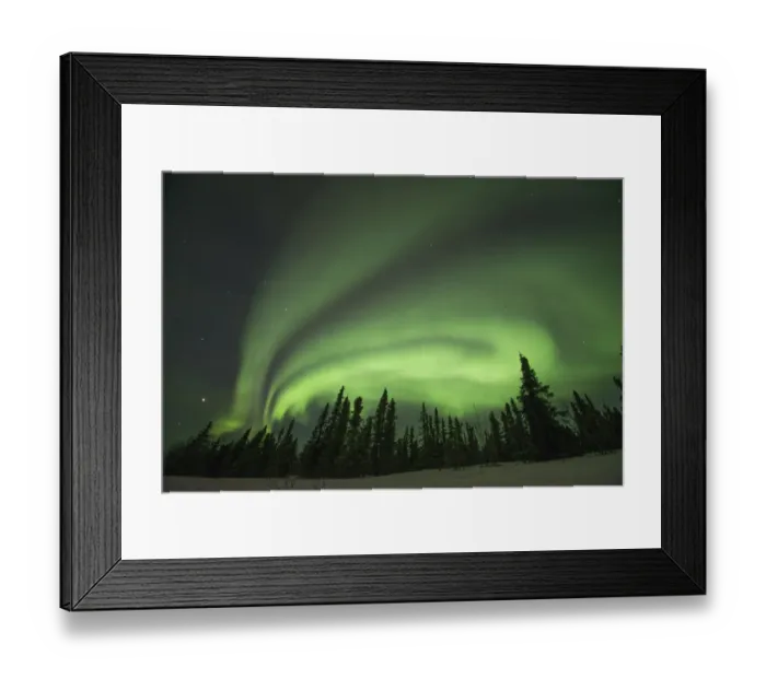 Framed Print : Northern lights (Aurora borealis) glowing brightly over trees along Steese Highway Framed Print : Northern lights (Aurora borealis) glowing brightly over trees along Steese Highway