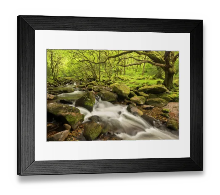 Framed Print : River Plym flowing fast through Dewerstone Wood, Shaugh Prior, Dartmoor National Park, Devon, England, UK. May 2015 Framed Print : River Plym flowing fast through Dewerstone Wood, Shaugh Prior, Dartmoor National Park, Devon, England, UK. May 2015