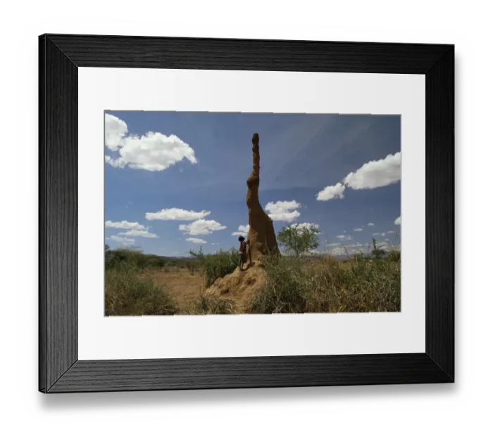 Framed Print : Termite (Isoptera) colony with six-metre high cooling chimney, Bogoria, Kenya Framed Print : Termite (Isoptera) colony with six-metre high cooling chimney, Bogoria, Kenya