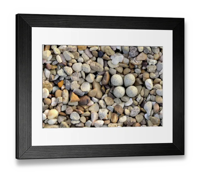 Framed Print : Little ringed plover {Charadrius dubius} nest with four eggs camouflaged on shingle, Lorraine, France Framed Print : Little ringed plover {Charadrius dubius} nest with four eggs camouflaged on shingle, Lorraine, France