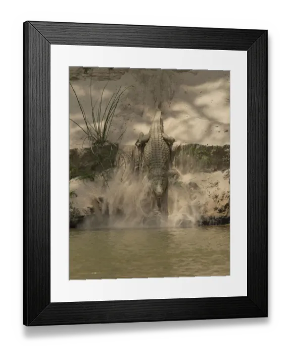 Framed Print : Nile crocodile (Crocodylus niloticus) making its way down sand bank into to the Rufiji Rivre Framed Print : Nile crocodile (Crocodylus niloticus) making its way down sand bank into to the Rufiji Rivre