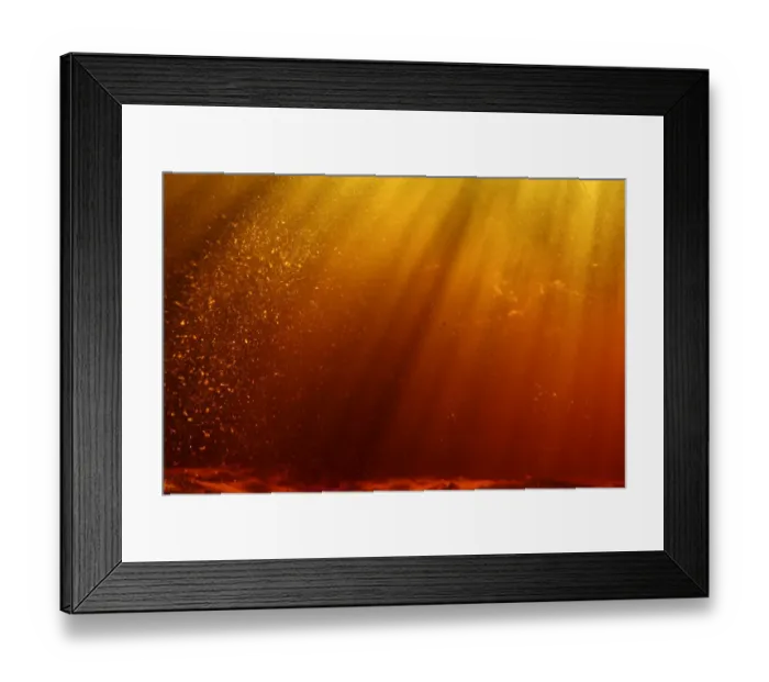 Framed Print : Underwater landscape in peat pond, Fribourg, Switzerland, August Framed Print : Underwater landscape in peat pond, Fribourg, Switzerland, August