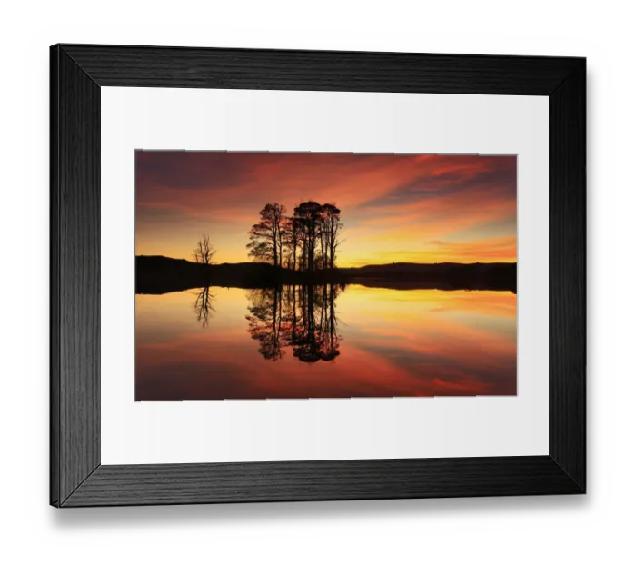 Framed Print : Silhouette of island of Scots pine trees (Pinus sylvestris) reflected in loch at sunset Framed Print : Silhouette of island of Scots pine trees (Pinus sylvestris) reflected in loch at sunset