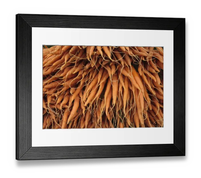 Framed Print : Carrots (Daucus carota) for sale at Cirencester Farmers Market, Cirencester, Gloucestershire Framed Print : Carrots (Daucus carota) for sale at Cirencester Farmers Market, Cirencester, Gloucestershire