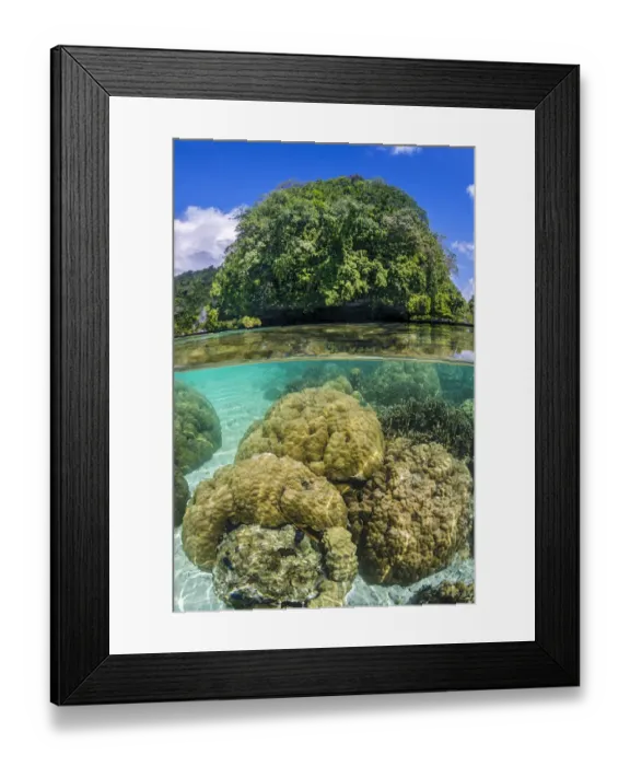Framed Print : Hard corals (Porites sp. ) grow in shallow water around limestone rock islands Framed Print : Hard corals (Porites sp. ) grow in shallow water around limestone rock islands