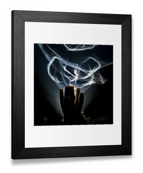Framed Print : A long exposure renders Bar jacks (Carangoides ruber) as ghostly trails as they swim Framed Print : A long exposure renders Bar jacks (Carangoides ruber) as ghostly trails as they swim