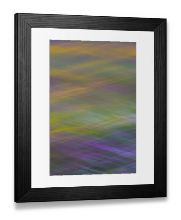 Framed Print : Long exposure with panning of field of wild flowers in traditional hay meadow Framed Print : Long exposure with panning of field of wild flowers in traditional hay meadow