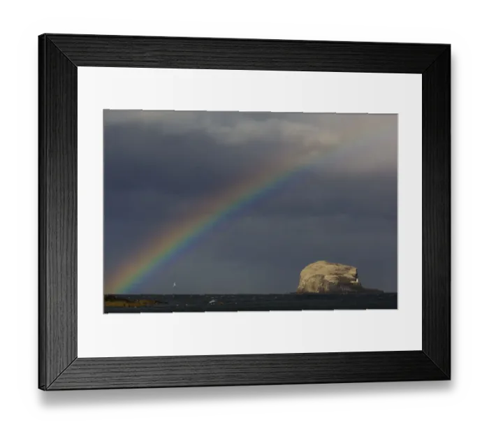 Framed Print : Rainbow and storm clouds over Bass Rock in the distance, which is the breeding ground for 140 Framed Print : Rainbow and storm clouds over Bass Rock in the distance, which is the breeding ground for 140