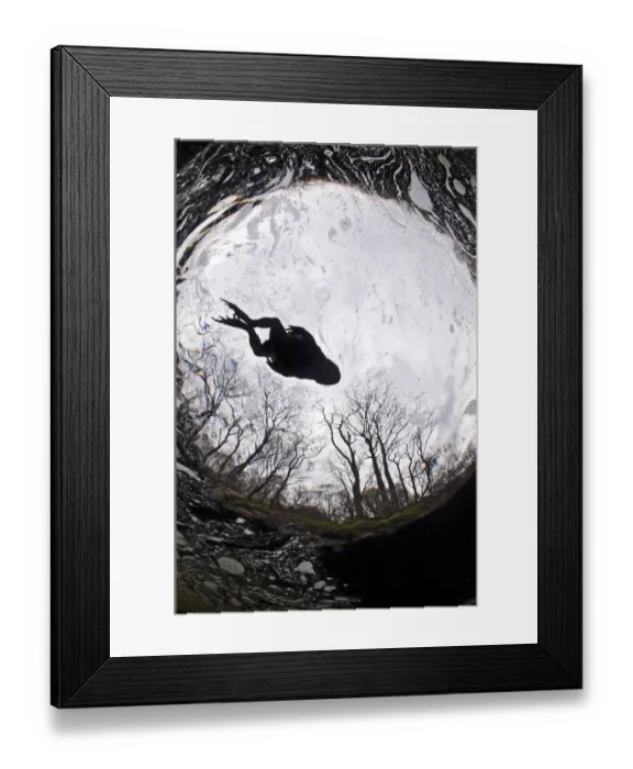 Framed Print : Silhouette of Common toad (Bufo bufo) swimming in River Orchy, Highlands, Scotland