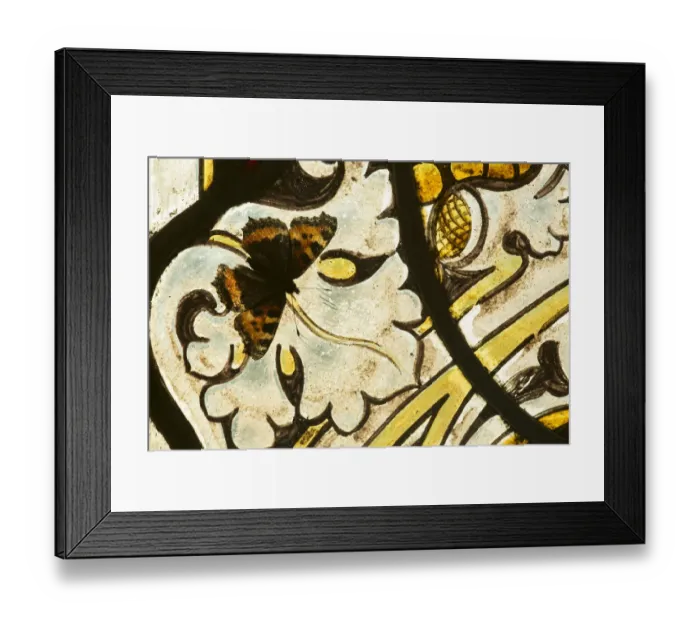 Framed Print : Small tortoishell butterfly (Aglais urticae) on a stained glass window of church Framed Print : Small tortoishell butterfly (Aglais urticae) on a stained glass window of church