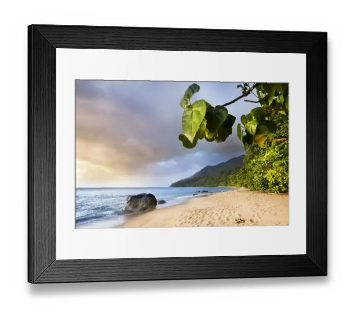 Framed Print : Tropical rainforest meeting the sea. Masoala Peninsula National Park, north east Madagascar Framed Print : Tropical rainforest meeting the sea. Masoala Peninsula National Park, north east Madagascar