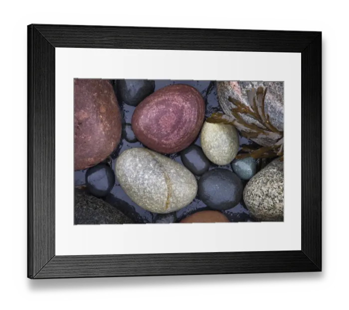 Framed Print : Rounded stones and seaweed on rocky shore. Isle of Skye, Inner Hebrides, Scotland Framed Print : Rounded stones and seaweed on rocky shore. Isle of Skye, Inner Hebrides, Scotland