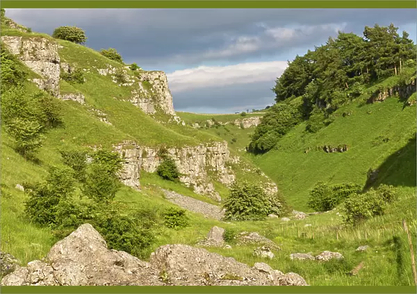 Carboniferous limestone outcrops. Lathkill Dale National Nature Reserve, Peak District