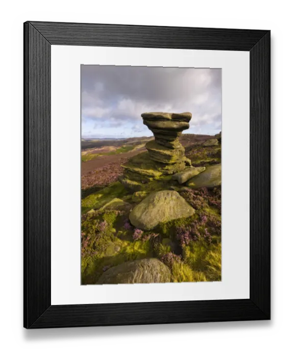 Framed Print : The Salt Cellar, a famous gritstone outcrop surrounded by flowering heather. Derwent Edge Framed Print : The Salt Cellar, a famous gritstone outcrop surrounded by flowering heather. Derwent Edge