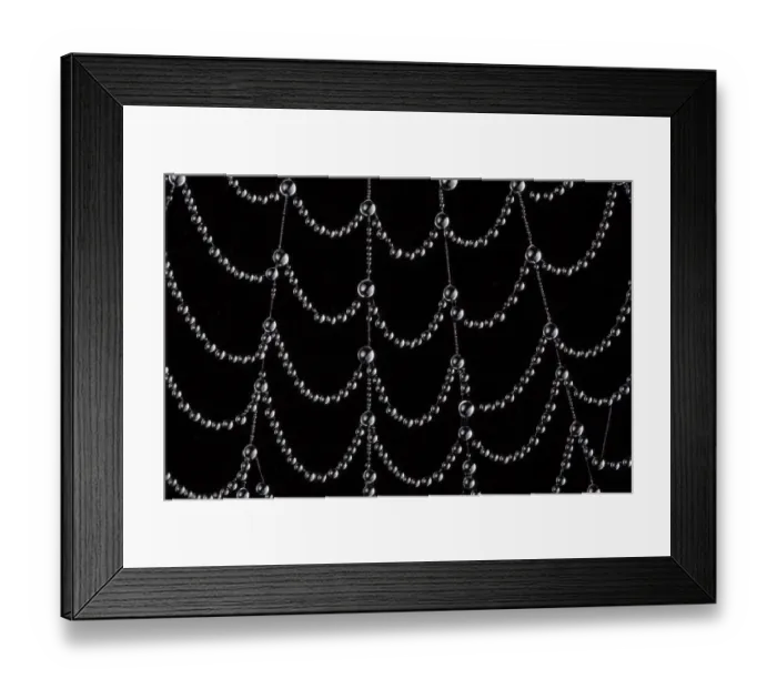 Framed Print : Dew-covered cobweb. Thursley Common, Surrey, UK. October Framed Print : Dew-covered cobweb. Thursley Common, Surrey, UK. October