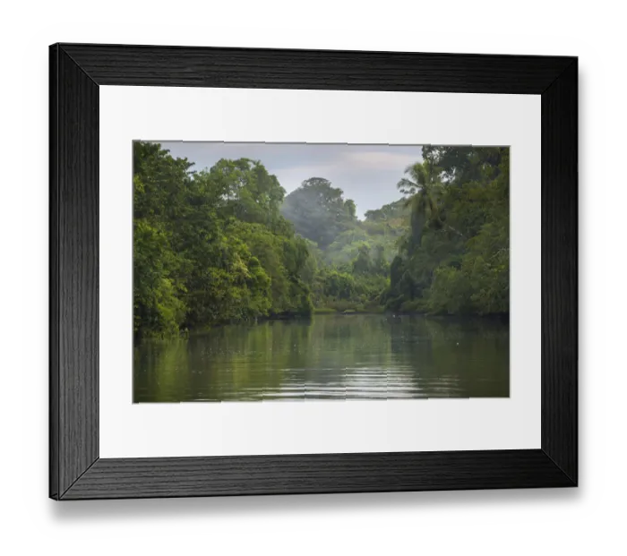 Framed Print : Dense rainforest surrounding estuary mouth, Corcovado National Park, Osa Peninsula Framed Print : Dense rainforest surrounding estuary mouth, Corcovado National Park, Osa Peninsula