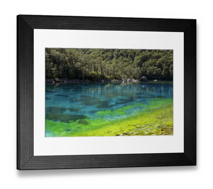 Framed Print : Rangimairewhenua or Blue Lake, Nelson Lakes National Park, Southern Alps, New Zealand Framed Print : Rangimairewhenua or Blue Lake, Nelson Lakes National Park, Southern Alps, New Zealand